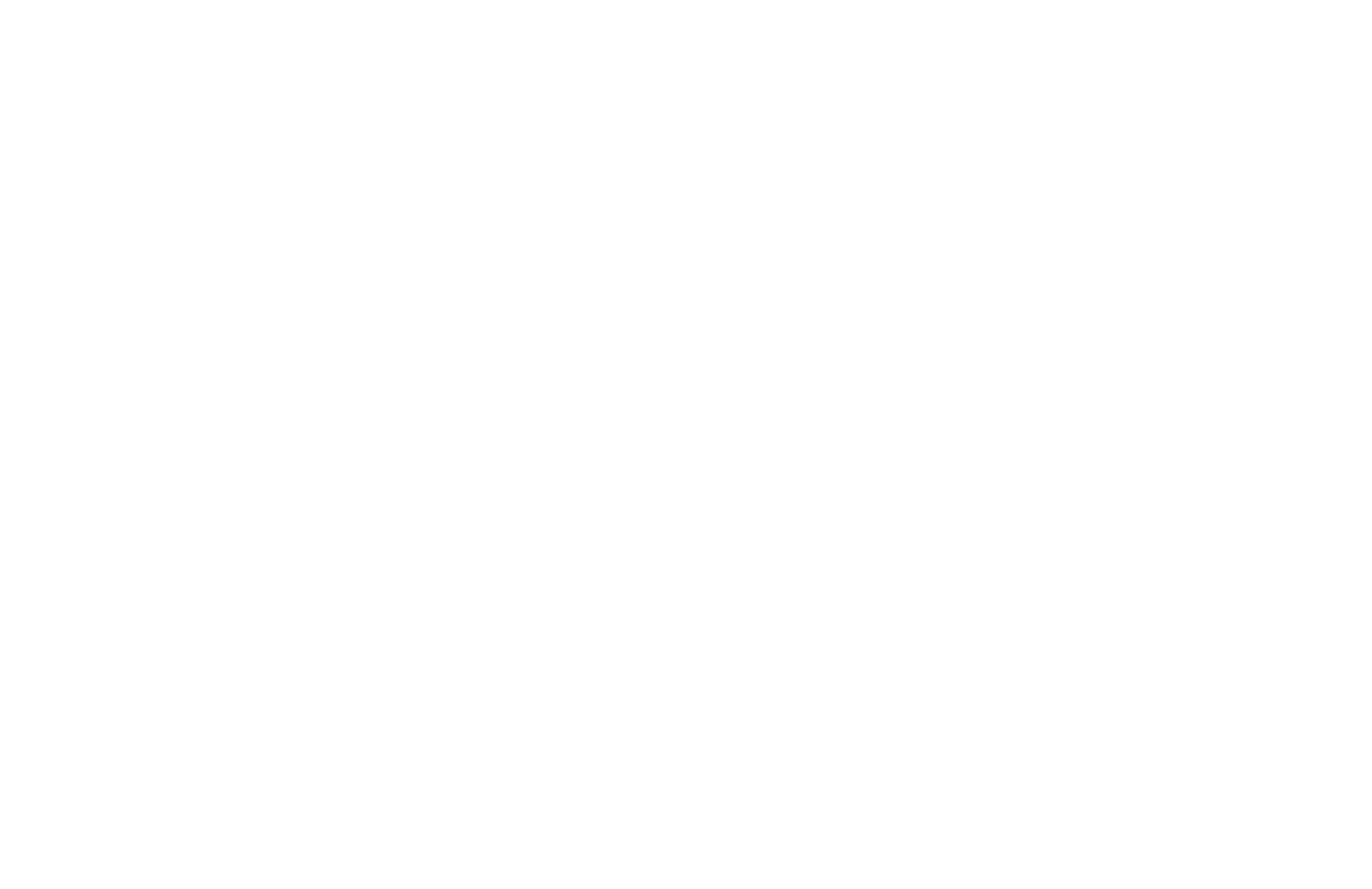 TO CLEAN LIMPEZA DE TAPETE